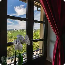 Window Design