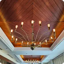 Ceiling Design