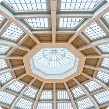 Designer Ceiling Concepts for Private Residences