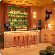 Exclusive Home Bar Design for Private Residences